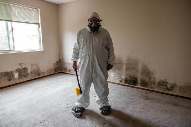 Best Emergency Mold Remediation  in Sinton, TX